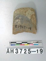 藏品(磨製石錛)的圖片